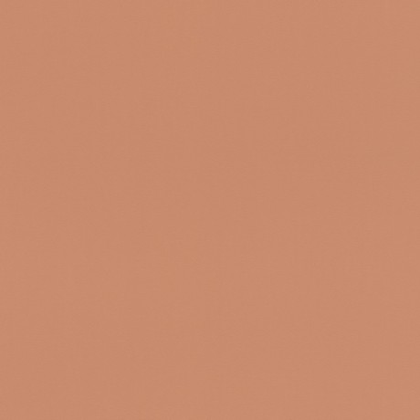 Обои Rasch Salsa 807608