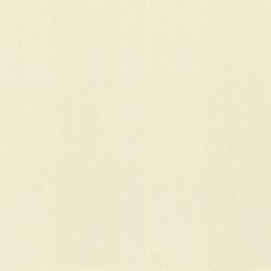 Обои 980363 Rasch Gentle Elegance 1.06x10.05