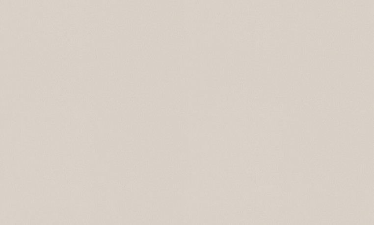 A100205 Обои ARTSIMPLE (Mixture) (1*6) 10,00x1,06 винил на флизелине