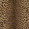 Обои Emiliana Parati Roberto Cavalli №9 21041